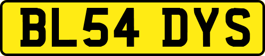 BL54DYS