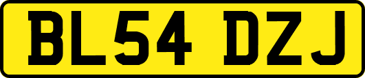 BL54DZJ