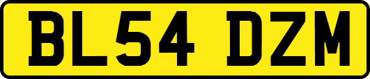 BL54DZM