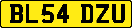 BL54DZU