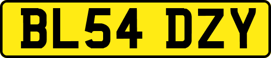 BL54DZY
