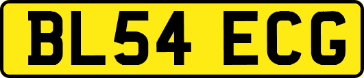 BL54ECG