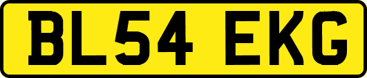 BL54EKG