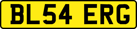 BL54ERG