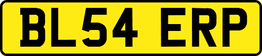 BL54ERP