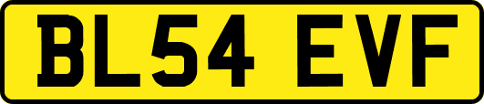 BL54EVF