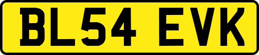 BL54EVK