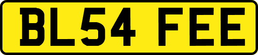 BL54FEE