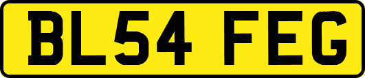 BL54FEG