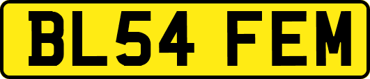 BL54FEM