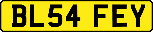 BL54FEY