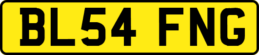 BL54FNG