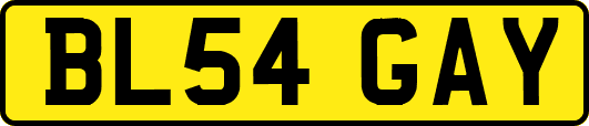 BL54GAY