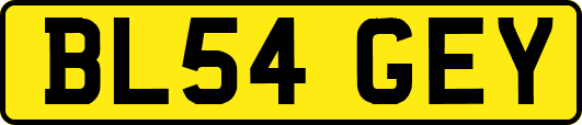 BL54GEY