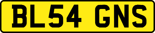 BL54GNS