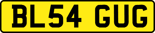 BL54GUG