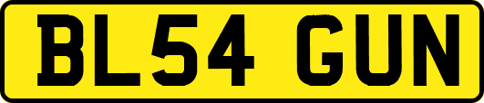 BL54GUN