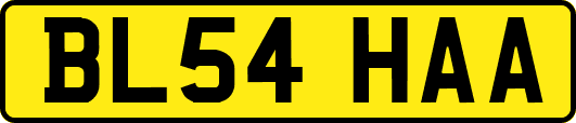 BL54HAA