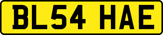 BL54HAE