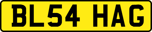 BL54HAG