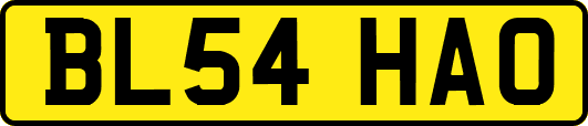 BL54HAO
