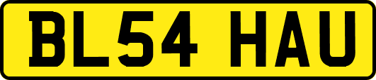 BL54HAU