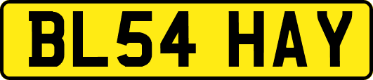 BL54HAY