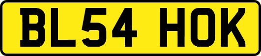 BL54HOK