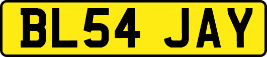 BL54JAY