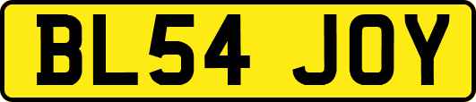 BL54JOY