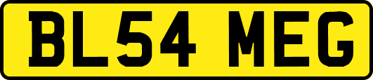BL54MEG
