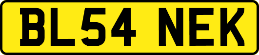 BL54NEK