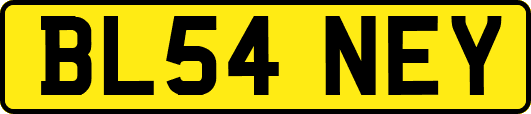BL54NEY