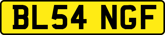 BL54NGF