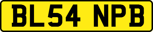 BL54NPB