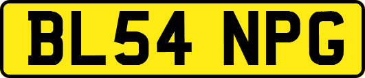 BL54NPG