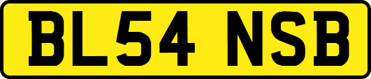 BL54NSB