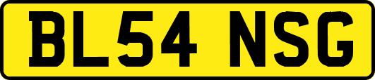 BL54NSG