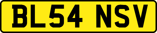 BL54NSV