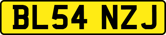 BL54NZJ