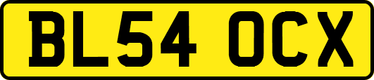 BL54OCX