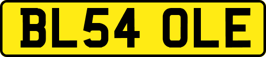 BL54OLE