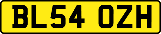 BL54OZH