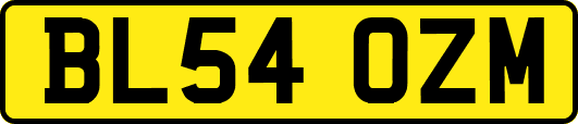BL54OZM
