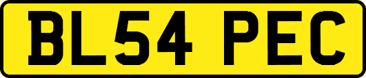 BL54PEC