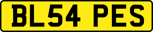 BL54PES