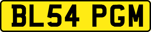 BL54PGM