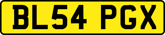 BL54PGX