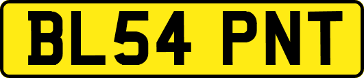 BL54PNT