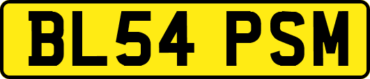 BL54PSM